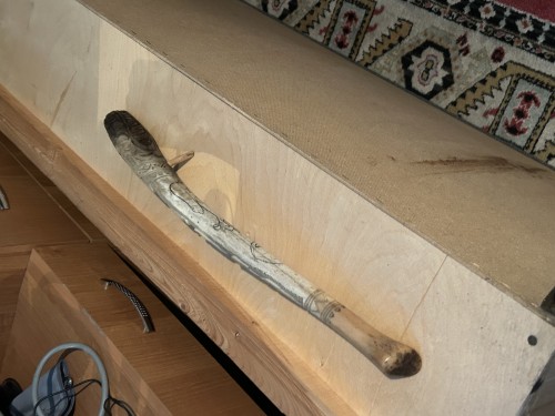 mroží penis