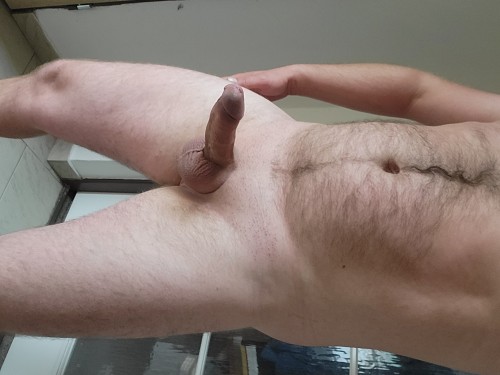 Tělo penis