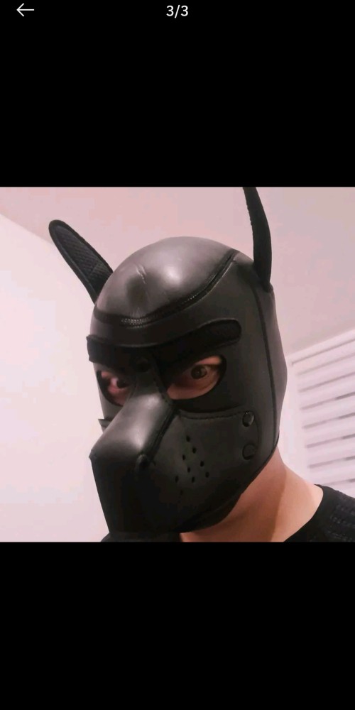 Haf