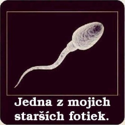 sponzor