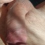 Miluju.sex