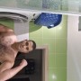 Maikl1
