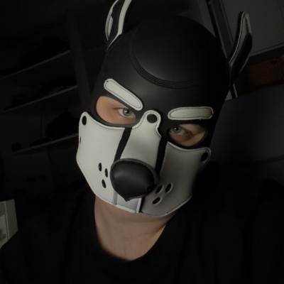 kubik_the_puppy